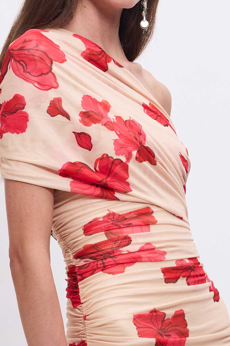 Suzie Floral Mesh Maxi Dress