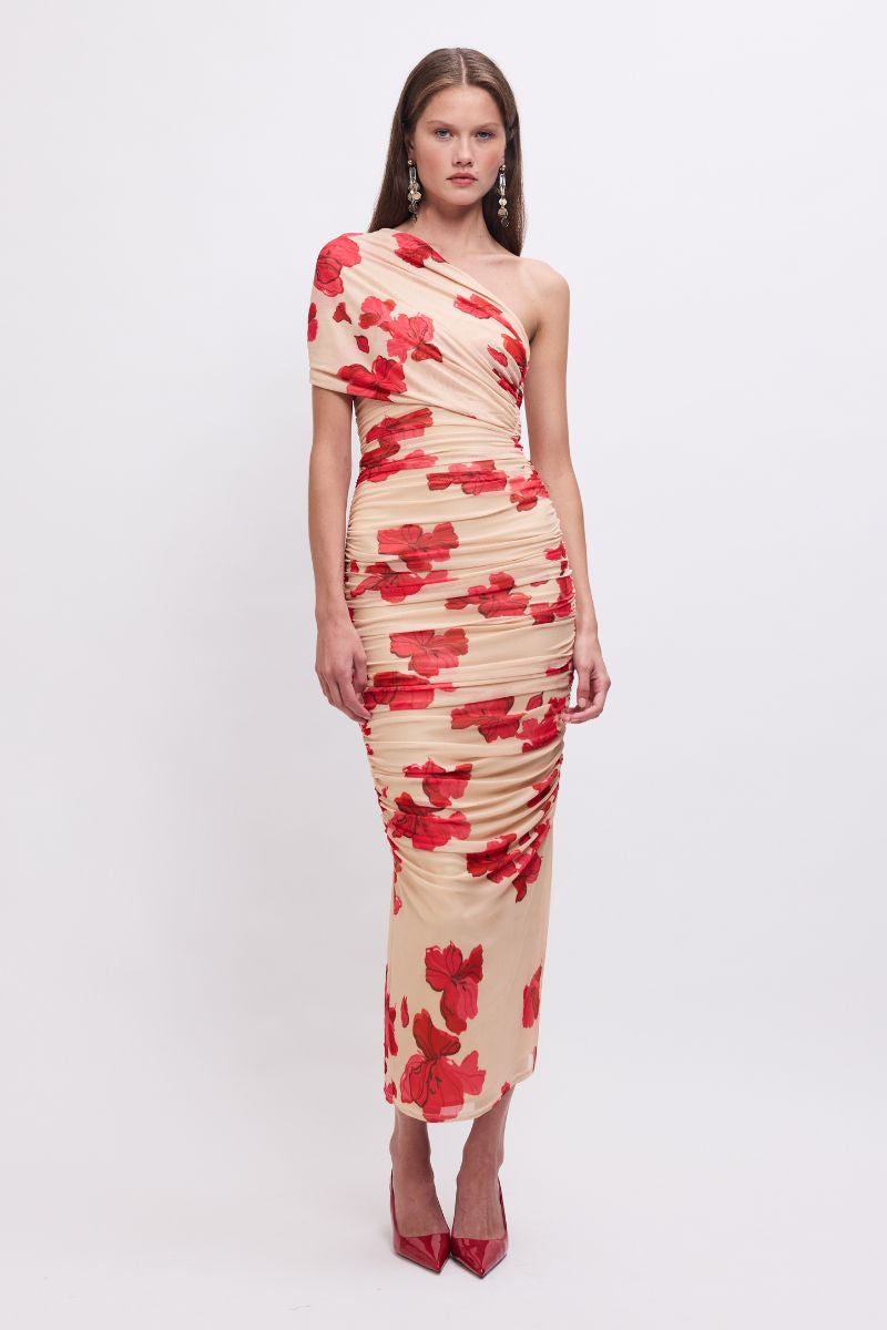 Suzie Floral Mesh Maxi Dress