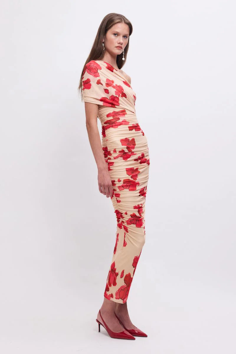 Suzie Floral Mesh Maxi Dress
