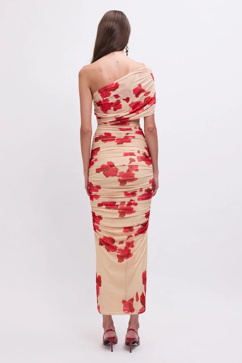 Suzie Floral Mesh Maxi Dress